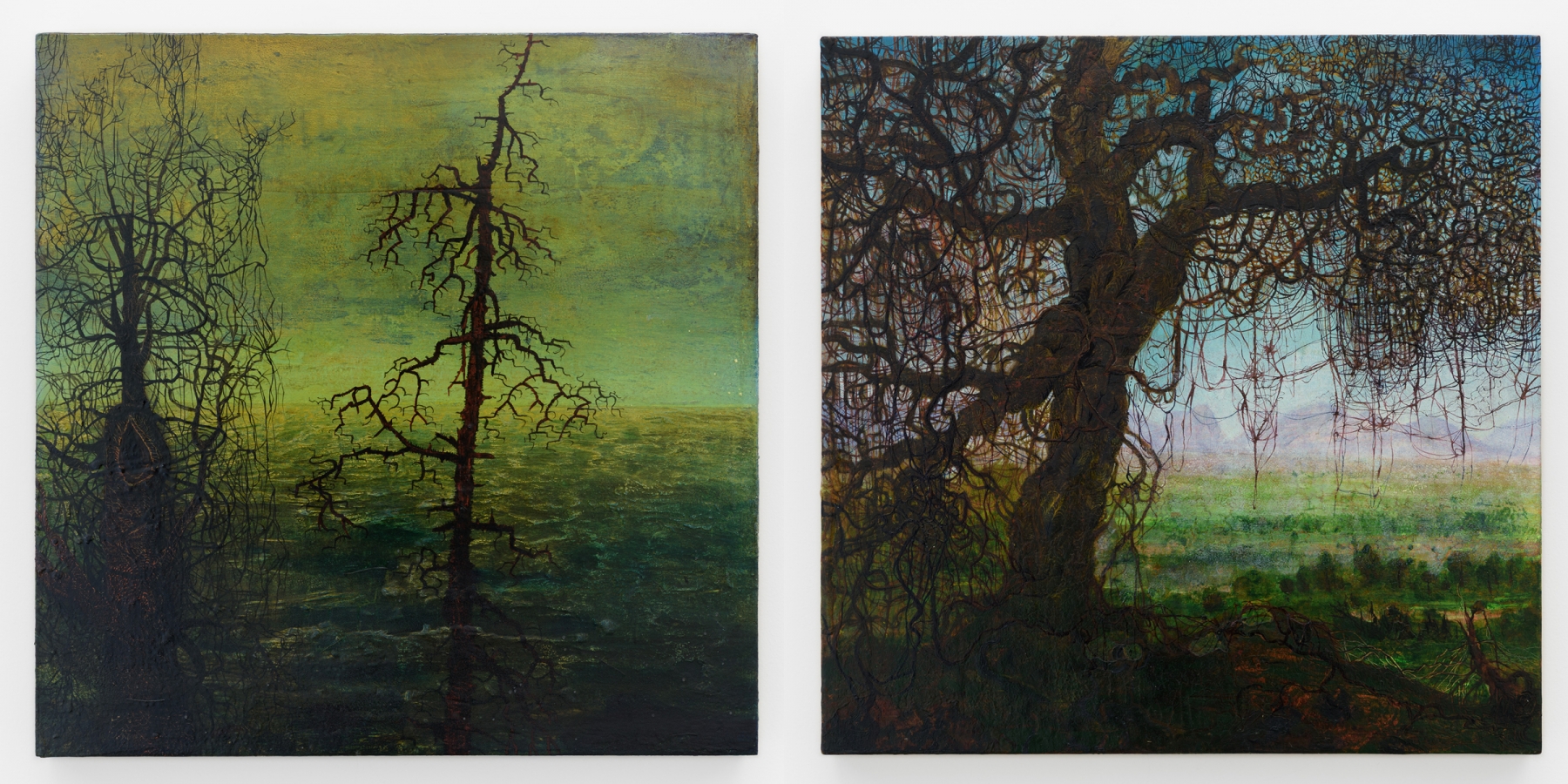 Left:&nbsp;Untitled, 2010 (JN 734)

Right:&nbsp;Untitled, 2011 (JN 735)

Inquire