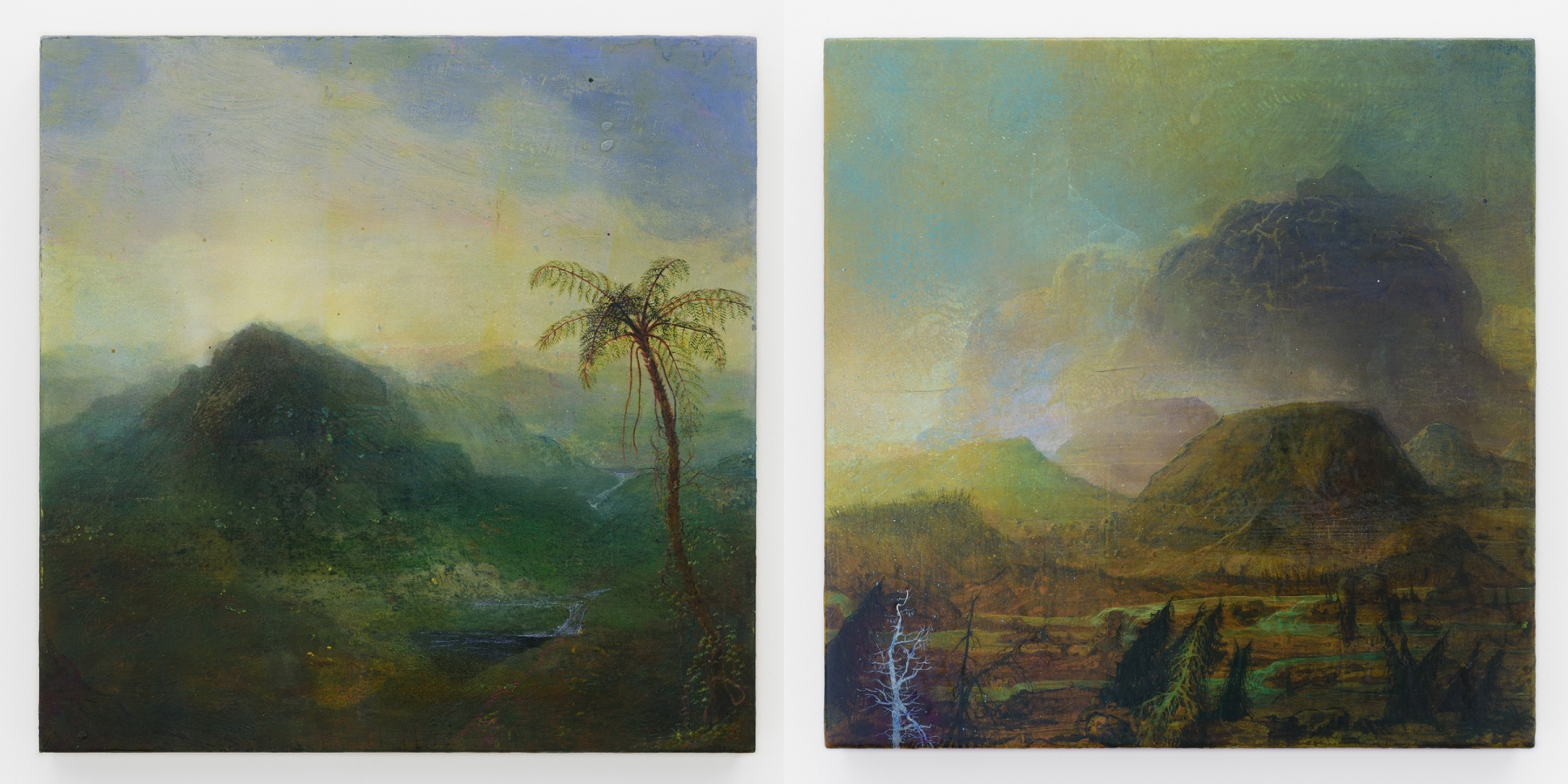 Left:&nbsp;Untitled, 2011 (JN 744)

Right:&nbsp;Untitled, 2011 (JN 749)

Inquire